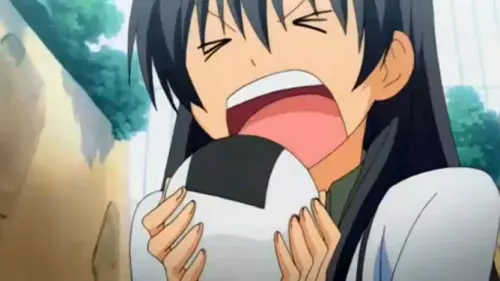 Polpette di riso giapponesi: solletica il tuo palato