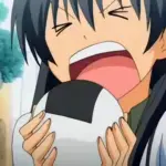 Polpette di riso giapponesi: solletica il tuo palato